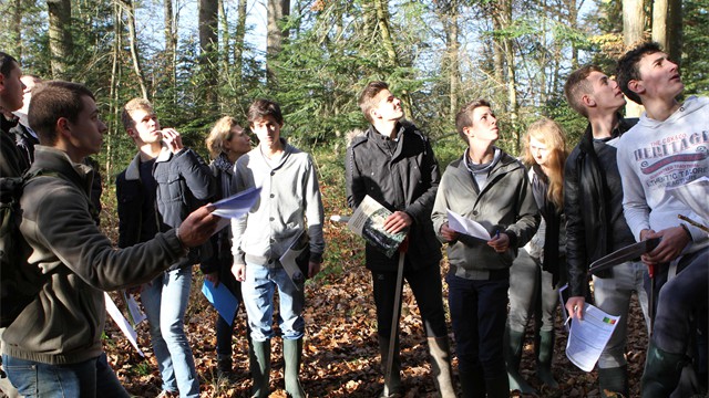 biodifor--nov--2015021