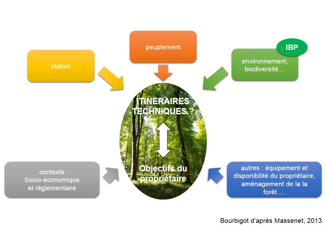 shéma place du diagnostic ibp dans la gestion sylvicole