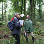 Diagnostic IBP dans une vieille futaie de Hêtre